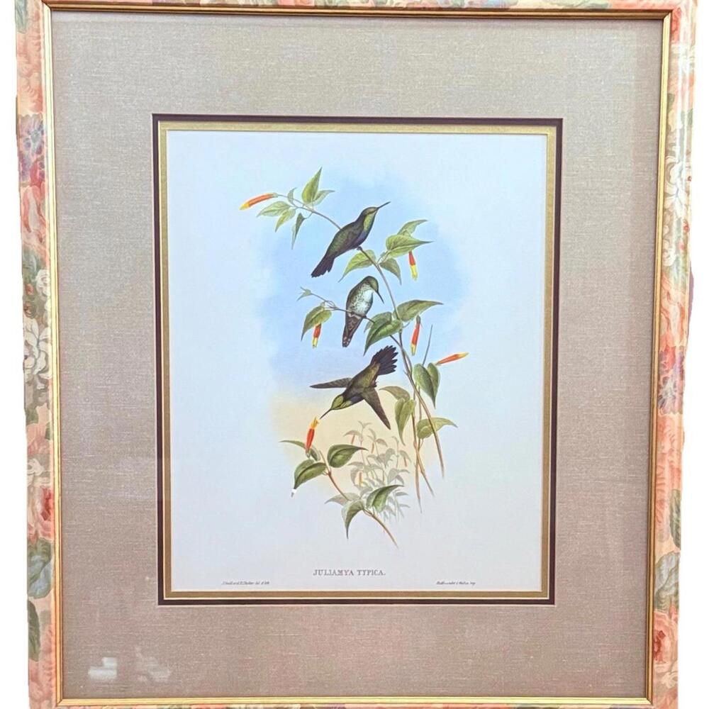 Vintage Hummingbird Wall Art "Juliamya Typica" by J. Gould 23x26 Print Framed